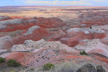 Petrified Forest National Park, a natural attraction place with many petrified tree trunks and fossils, in Arizona, USA. © leochen66