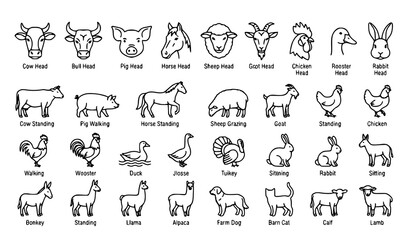 Fototapeta premium Farm Animal Vector Icon Pack with Cow, Pig, Horse, Sheep, Goat, Chicken, Rooster, Donkey, Llama, and Animal Heads Line Set