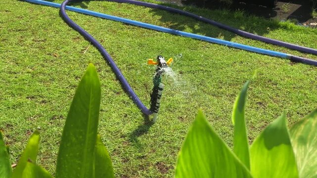 120fps slow motion of Garden Hose Watering Green Lawn in Tropical Park 
