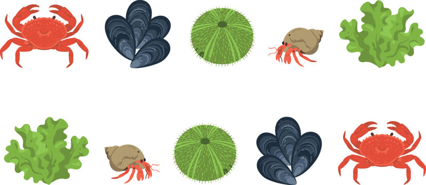 Marine Life Sea Creatures Vector Icon Set featuring Red Crab Mussel Shells Green Sea Urchin Hermit Crab and Seaweed Designs