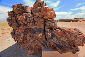 Petrified Forest National Park, a natural attraction place with many petrified tree trunks and fossils, in Arizona, USA. © leochen66
