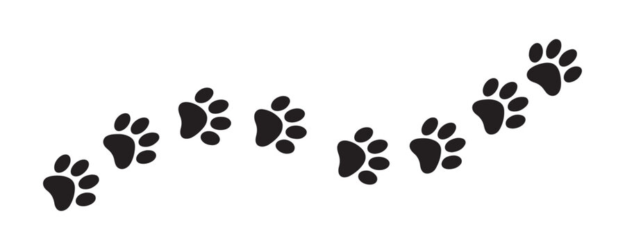 Ascending diagonal paw print path showing active pet movement direction on transparent background.