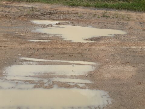 Tire tracks on a muddy dirt road after the rain.