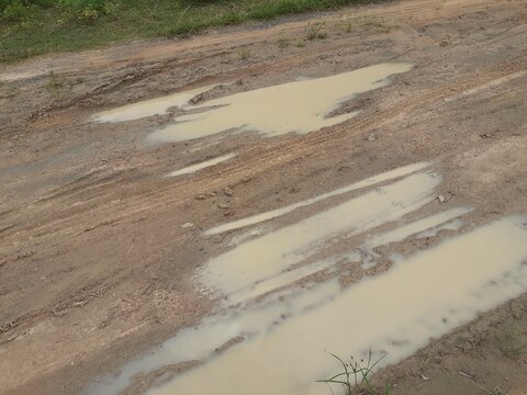 Tire tracks on a muddy dirt road after the rain.
