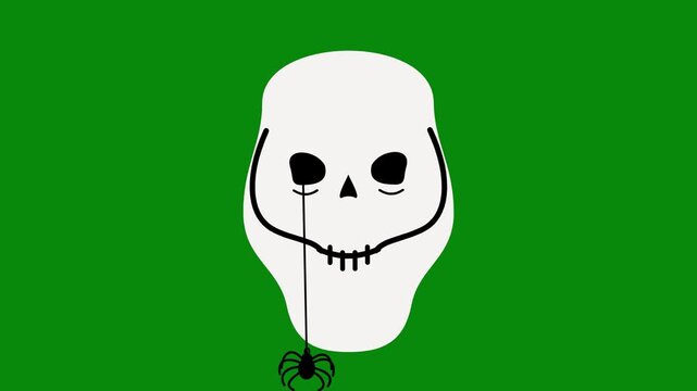 Spooky cartoon skull animation with a dangling spider on green screen