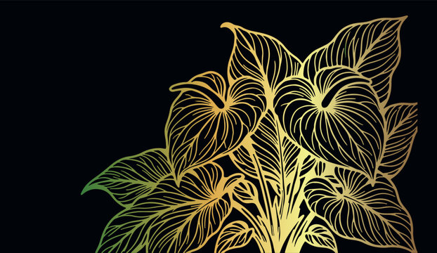 Golden anthurium flamingo flower banner, heart shaped spathe floral sketch, glowing yellow tropical foliage line art, dark midnight rainforest background border, vintage engraved exotic houseplant dra