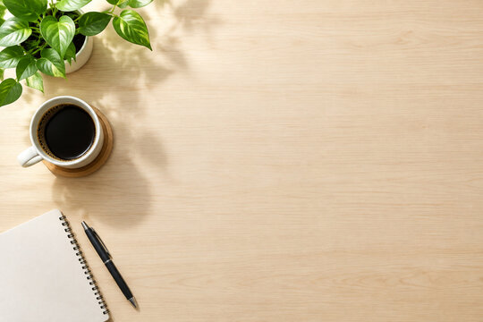 Top view of clean desk with coffee mug and plant arrangement under soft overhead lighting.