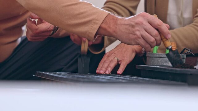 Tailor hand sewing fabric with needle and thread worktable, woodworking craft with wooden handle metal tool, musician playing string instrument and wooden mallet during acoustic performanceartisan