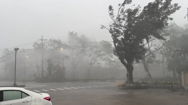 Violent Hurricane Winds And Driving Rain Batter Trees During Landfall