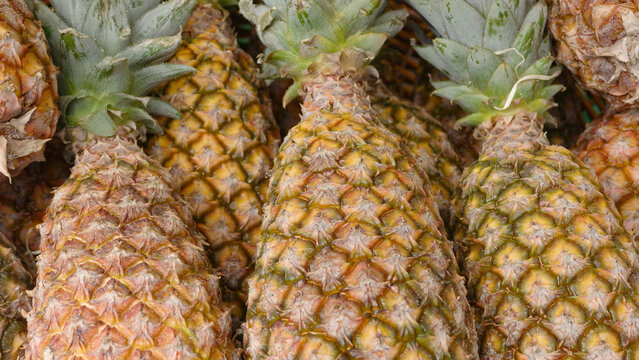 Pineapples on display showing fresh fruit and spiky texture
