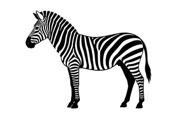 Fototapeta premium zebra vector illustration