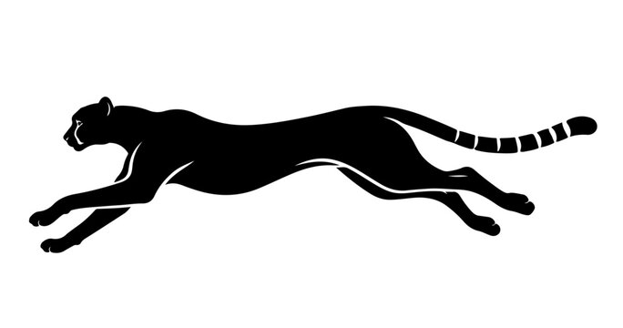 horse silhouette vector