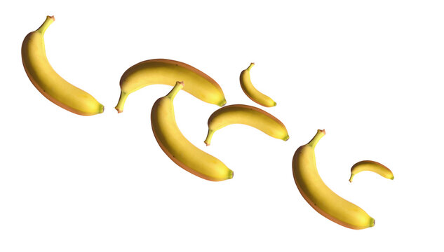 Levitating Whole Yellow Bananas Flying Isolated on Transparent PNG