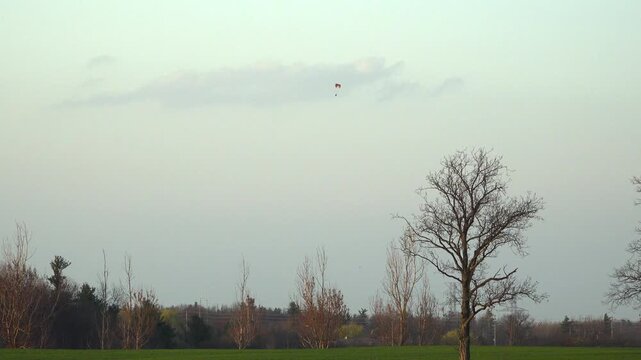 A powered paramotor flies high in a pale evening sky above bare deciduous trees and a vibrant green agricultural field.