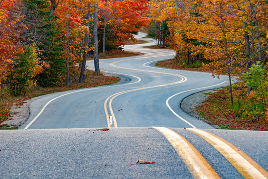 499-191 Highway 42 Curves