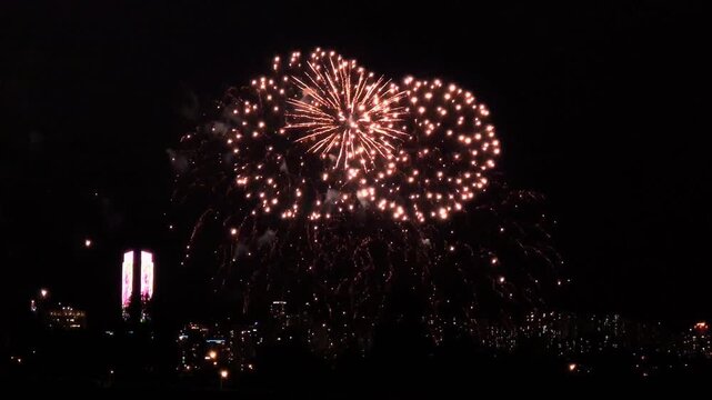 fireworks over the river, Fireworks bursting over the illuminated Seoul city skyline at night, with apartment towers, tree silhouettes and a dark sky above the Han River in South Korea