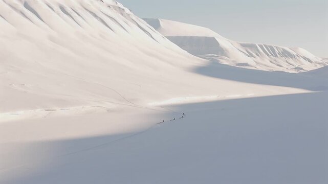 Aerial push forward over a small dog sled team crossing a vast snowy valley in Svalbard, Norway, with dramatic mountain shadows stretching across the bright snow