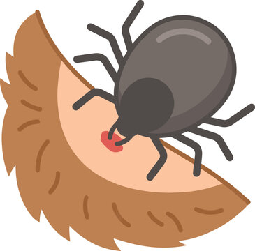 Flat vector illustration of a close-up tick biting into skin, showing a dark gray tick embedded with a red bite mark, representing tick attachment and blood feeding.