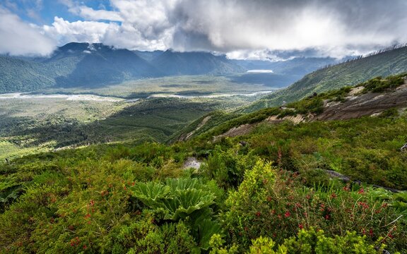 View of wooded valley with Rio Blanco river, hike to the crater rim of the Chait&eacute;n Volcano, Pumalin National Park, Ruta de los Parques, Los Lagos, Patagonia Verde, Chile