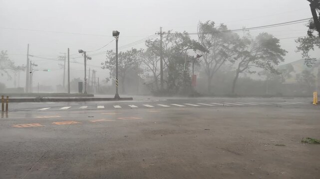 Strong Hurricane Winds Batter Trees As Storm Sweeps Across City