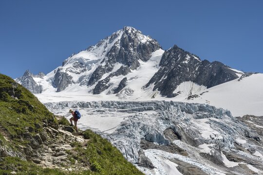 Mountaineer, Hiker on the way to the Refuge Albert 1er, Glacier du Tour, Glacier and mountain peaks, High alpine landscape, Peak of the Aiguille de Chardonnet, Chamonix, Haute-Savoie, France