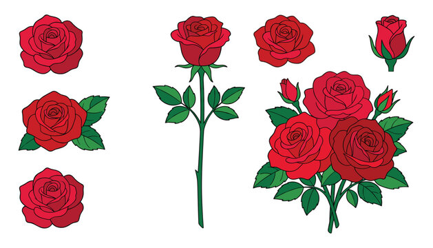Red rose vector set with realistic flower heads stems buds and a beautiful bouquet isolated on white background