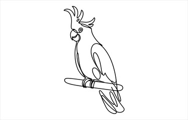 Continuous single line drawing of a cockatoo parrot sitting on a wooden perch © Godadhr