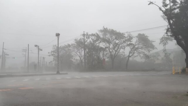 Powerful Wind And Sheets Of Rain Drench Street In Hurricane Eyewall