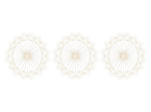 Tre disegni floreali mandala astratti in stile minimalista