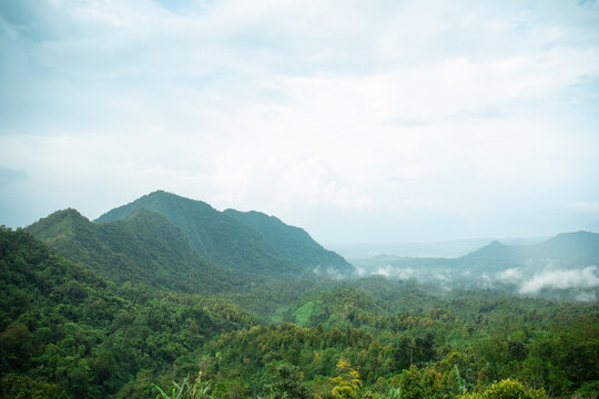 View of mountains and greenery in Bali during a travel adventure