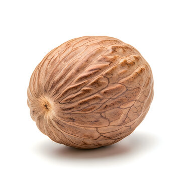 A single whole brown nutmeg seed spice isolated on a clean white background for cooking and recipes