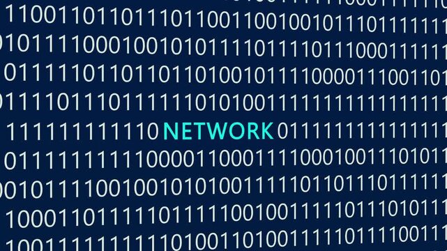 Network text or word with digital binary animation made in After Effects for digital world technology concept, representing connected computer systems, data transmission lines, global communication