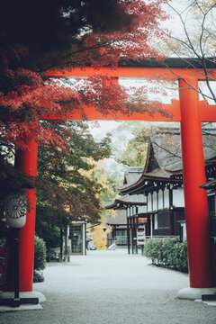 秋の神社の紅葉と鳥居