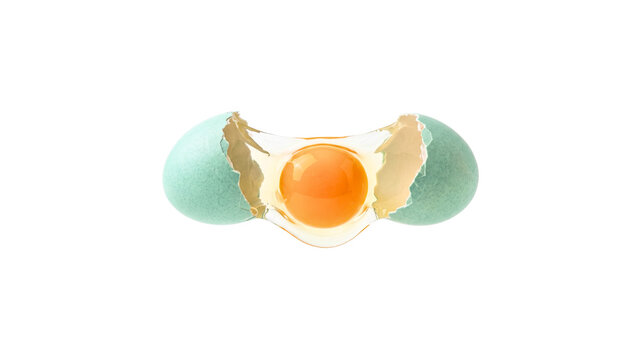 Minimal colorful egg composition with floating shell forms on a white background.