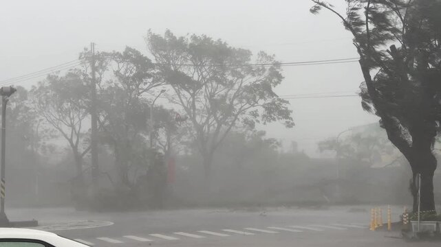 Major Hurricane Eyewall Wind And Rain Lashes Town Streets