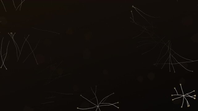 White mycelial threads branching through dark earth seamless loop