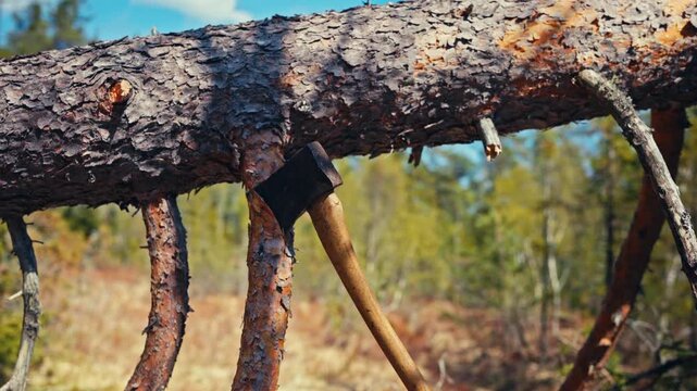 A dark metal axe head is embedded deeply into a tree trunk in a rural Norwegian outdoor setting