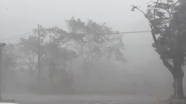 Hurricane Force Winds Whip Trees As Powerful Storm Moves Ashore