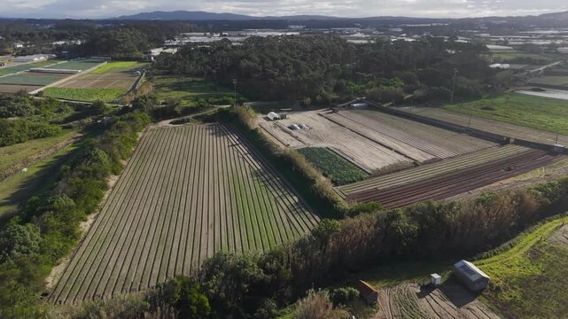 Long ploughed furrows run across small market garden fields with greenhouses and a wooded ridge in the distance.