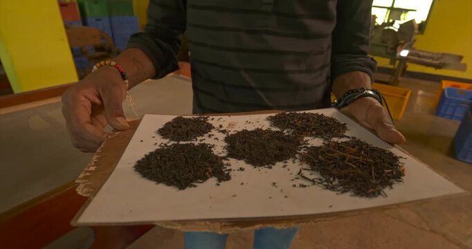 Six processed black tea samples form separate piles on a white rectangular board held by hand with coarse leaves fine particles stems and mixed textures displayed side by side in close inspection