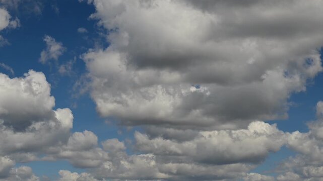 timelapse of massive white cumulus clouds filling up the whole bright blue sky
