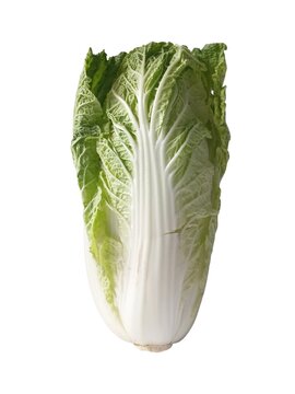 Napa cabbage isolated on white background