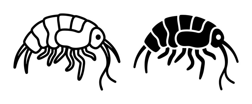 Amphipod Vector Icons, Crustacean Marine Life Illustrations, Two Styles: Outline and Silhouette