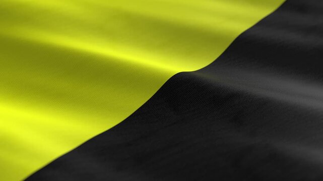 Anarcho Capitalism - waving flag loop