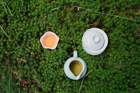 Chinese tea ceremony set on green forest moss background