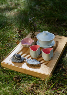 Chinese tea ceremony set on bamboo tray in garden