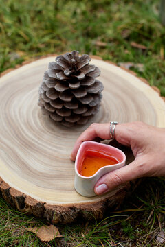 Chinese tea ceremony with cup on tree stump outdoors