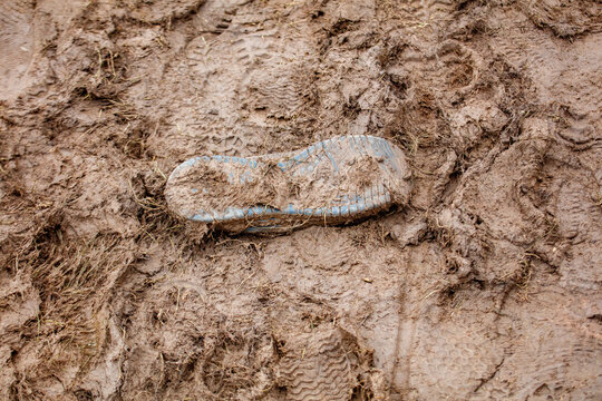 Single shoe embedded in wet, muddy terrain