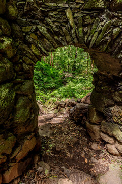 Hiking path in the laurel forest Cubo de La Galga on La Palma, Canary Islands, Spain.