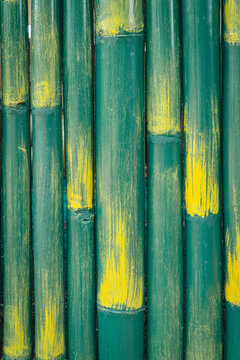 Close-up of green bamboo stems with natural yellow markings and vertical textures, creating a simple organic background pattern.
